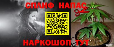 гашик Мариинск