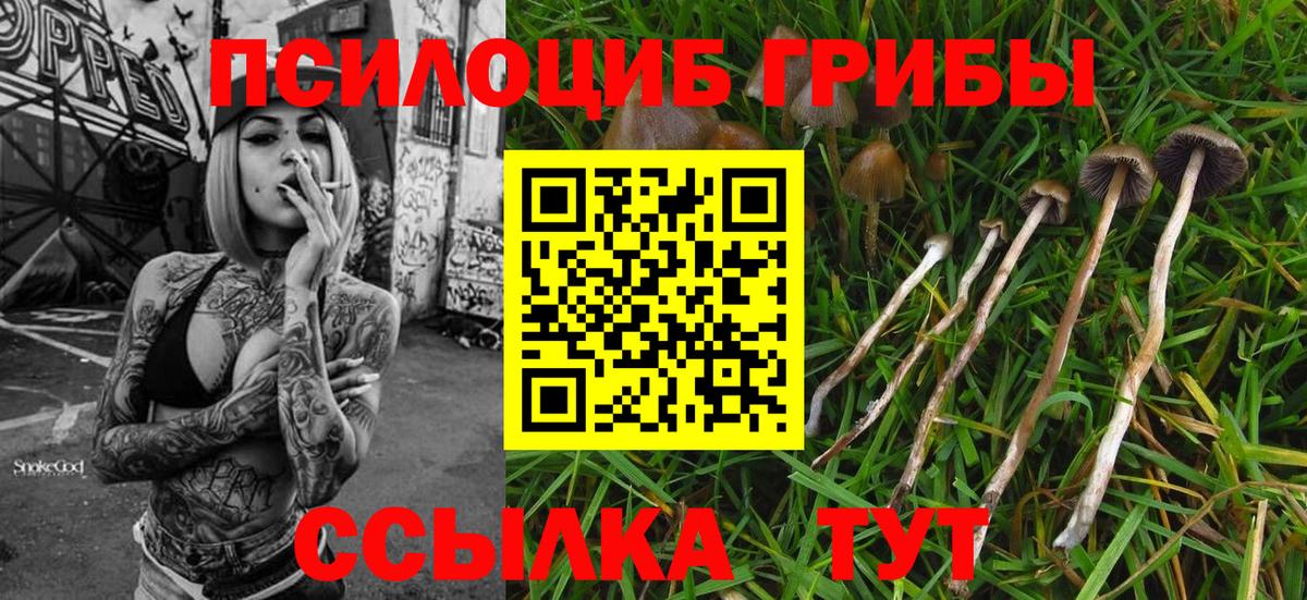 цена наркотик  Вход с VPN  Ступино  Галлюциногенные грибы ЛСД 