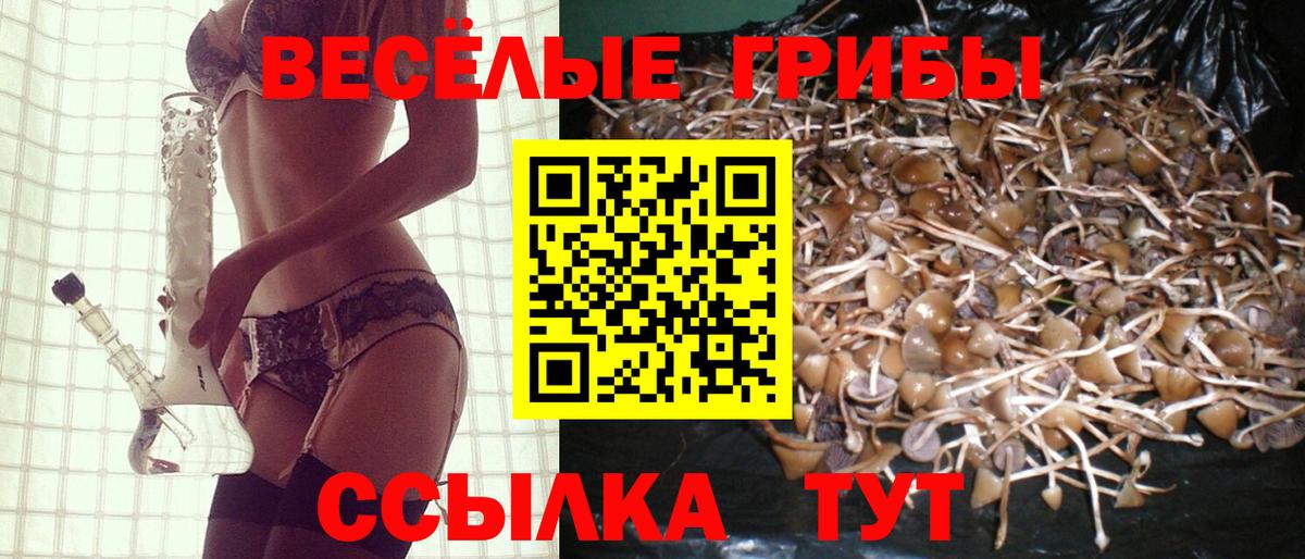 Галлюциногенные грибы мицелий Ступино